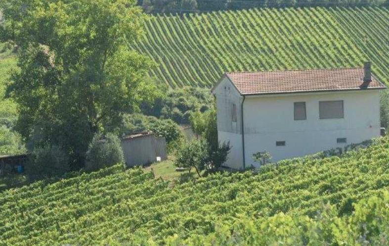 Il casolare a Selvatelle