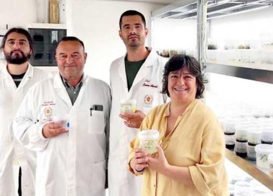 
	Gli esperti del Centro ricerche dell&rsquo;Istituto tecnico agrario Leopoldo II di Lorena

