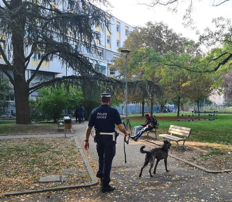 Ferrara, morde un agente e sputa la droga: doppio arresto della Polizia locale