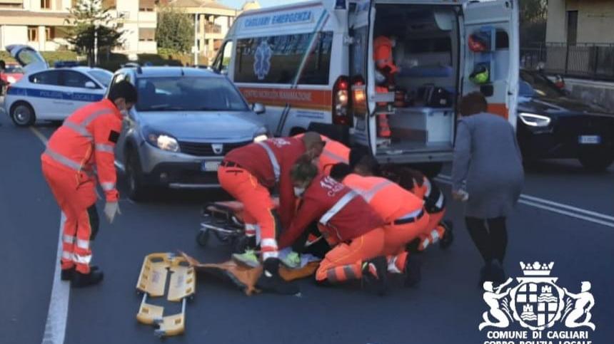 In sorpasso con lo scooter urta il cordolo e finisce contro un’auto: 19enne in ospedale a Cagliari
