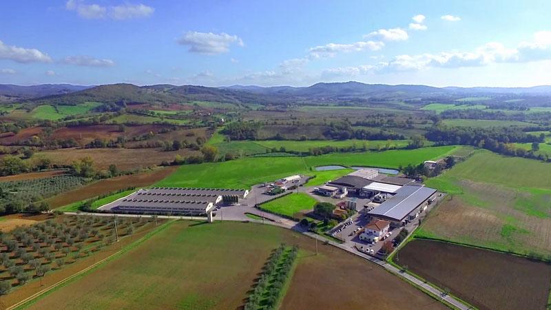 Agroalimentare, export boom in Maremma. E ora caccia ai nuovi mercati