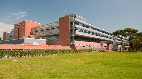 Viareggio, la furia cieca di un trentenne: picchia la madre e il cugino che la difendeva, arrestato
