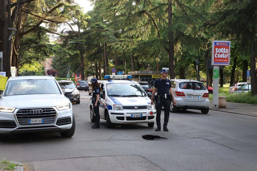 L’asfalto collassa: si apre una voragine in mezzo alla strada