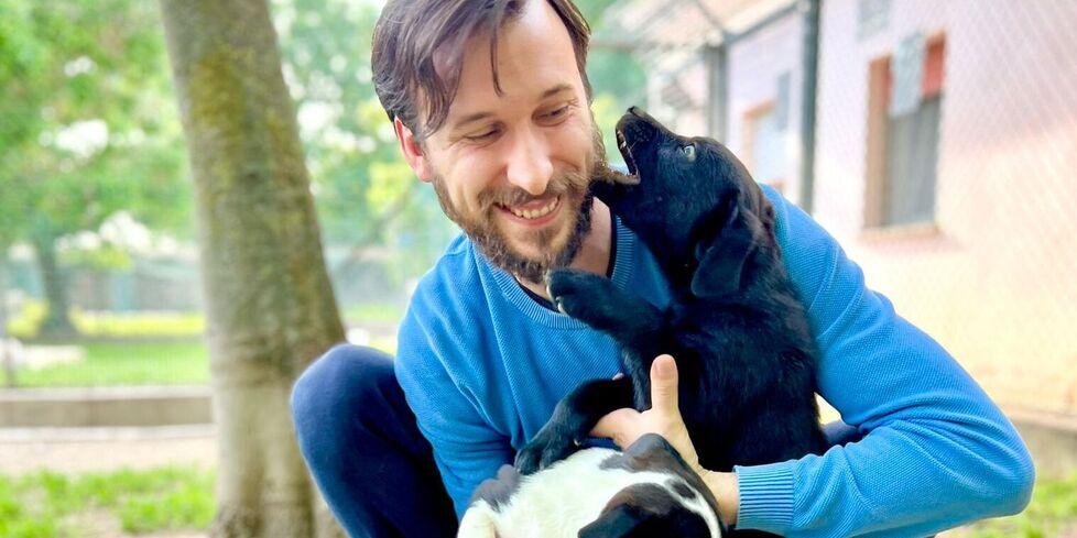 Ferrara, 38 cuccioli da salvare: «Abbandonati da gente senza cuore»