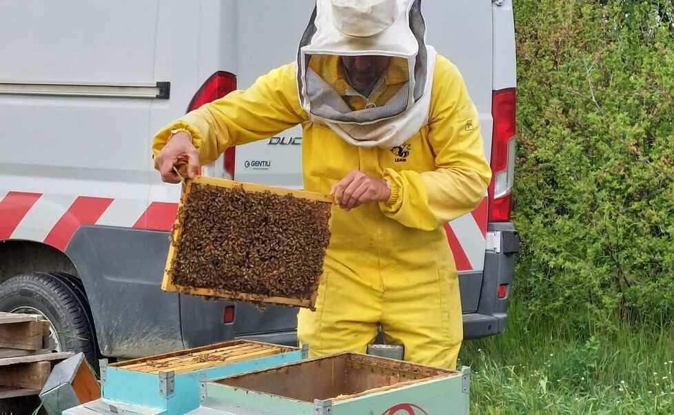 Modena. Dall’informatica all’apicoltura «Mi sono reinventato: è un mestiere totalizzante» 