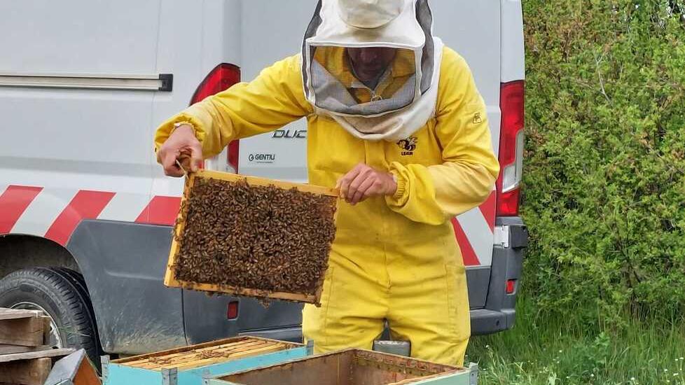 Modena. Dall’informatica all’apicoltura «Mi sono reinventato: è un mestiere totalizzante» 