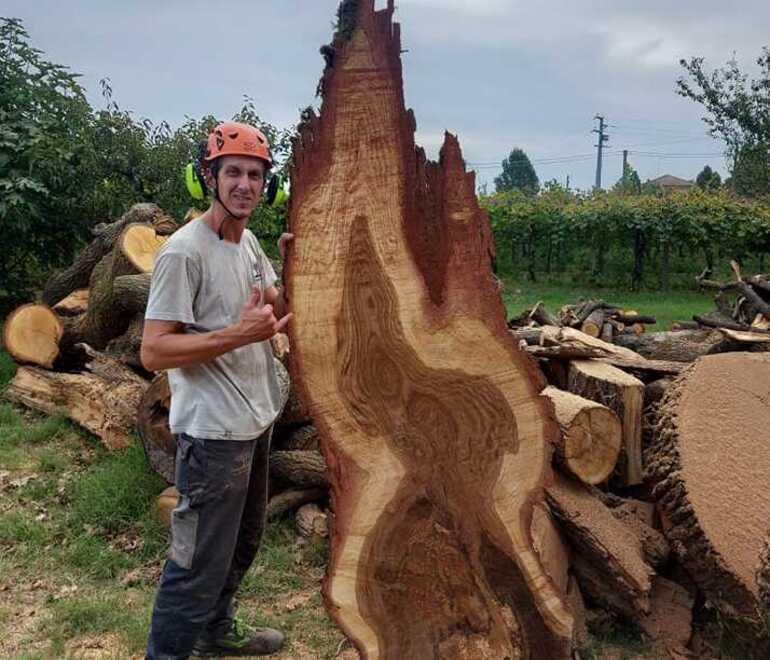 Il progetto sul riciclo e il taglio giusto Così cresce la Segheria Modenese