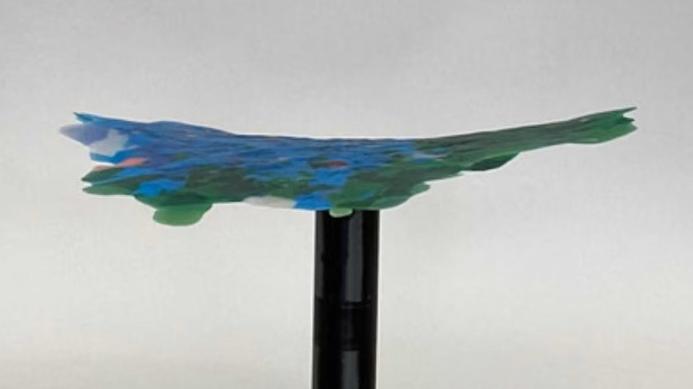 Arte con i tappi di plastica riciclati: l’idea vincente dei ragazzi reggiani