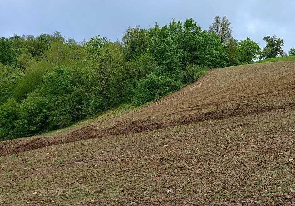Serramazzoni Monte Calvario, riparte la frana: 4 famiglie a rischio isolamento 
