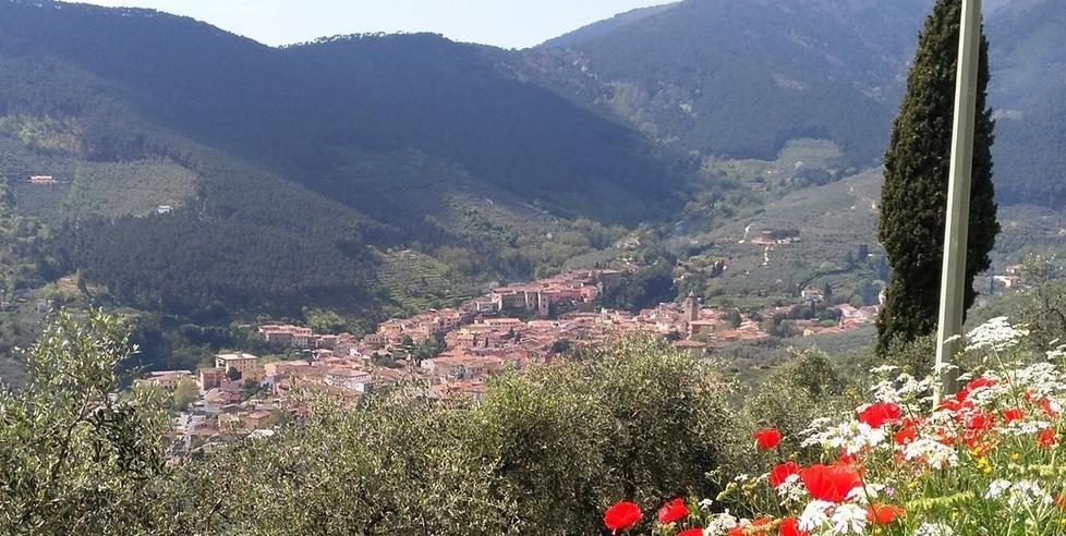 Il Monte Serra Fa Impazzire I Turisti Estici: «Già Tutto Esaurito In ...