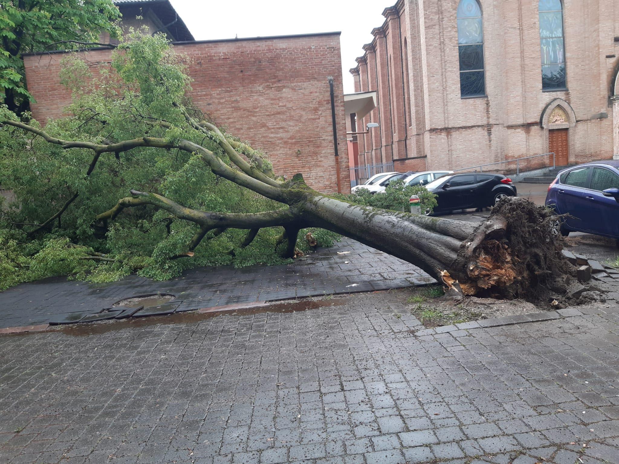 Modena&nbsp; Resta l’allerta arancione: ponti aperti, ma fiumi monitorati&nbsp;Albero cade vicino all’asilo&nbsp;
