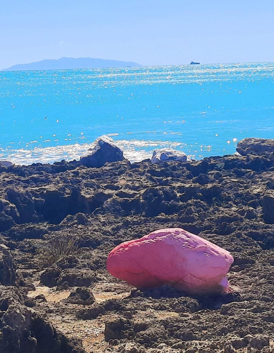 Castiglioncello, quel masso rosa che ricorda la Venus incagliata ai Pungenti