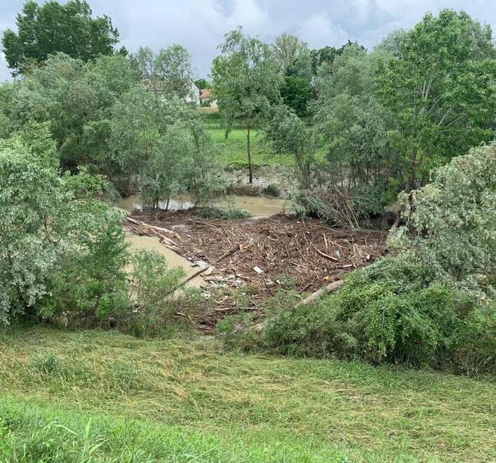 Modena La piena di Secchia e Panaro è passata Criticità per blocchi creati da tronchi e rami 
