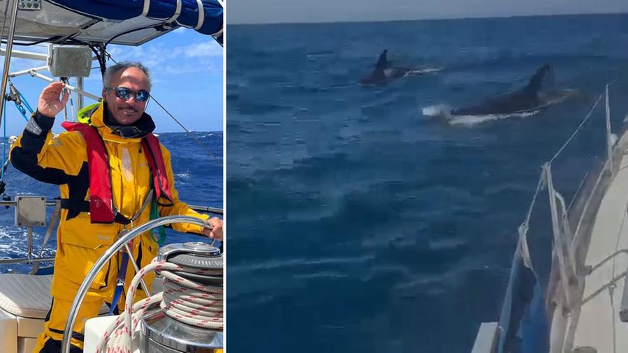 Enzo Bencini e un alcune delle orche intorno alla barca