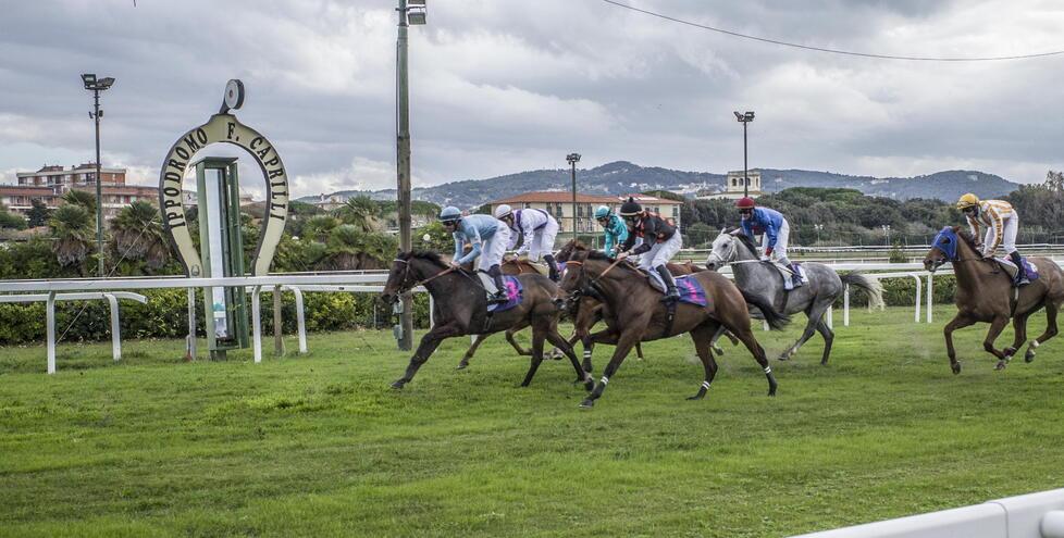 Pista, luci e ristorante per il Caprilli. T.: «Così rilancio l’ippodromo»<br>
