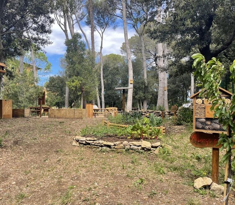 Magia alla scuola di Villa Corridi: ecco l’aula nel “bosco” e la nuova cittadella ambientale