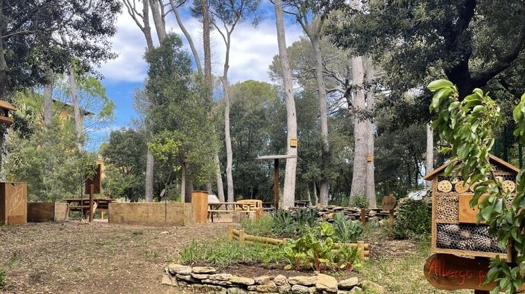 Magia alla scuola di Villa Corridi: ecco l’aula nel “bosco” e la nuova cittadella ambientale