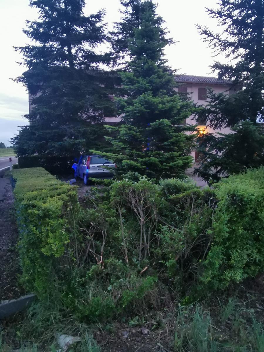 Auto fuori controllo finisce dentro una vigna, due feriti