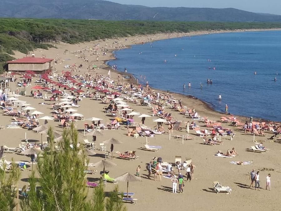 
	Orbetello: la spiaggia della Feniglia

