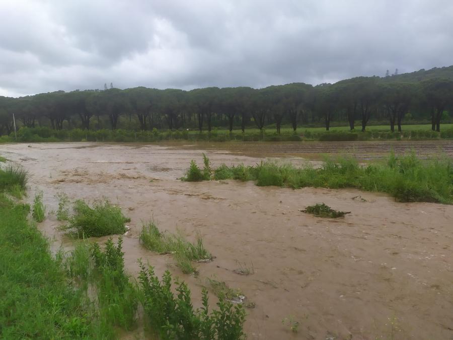 
	Le campagne a Vallerotana nel pomeriggio di mercoled&igrave; 10 maggio

