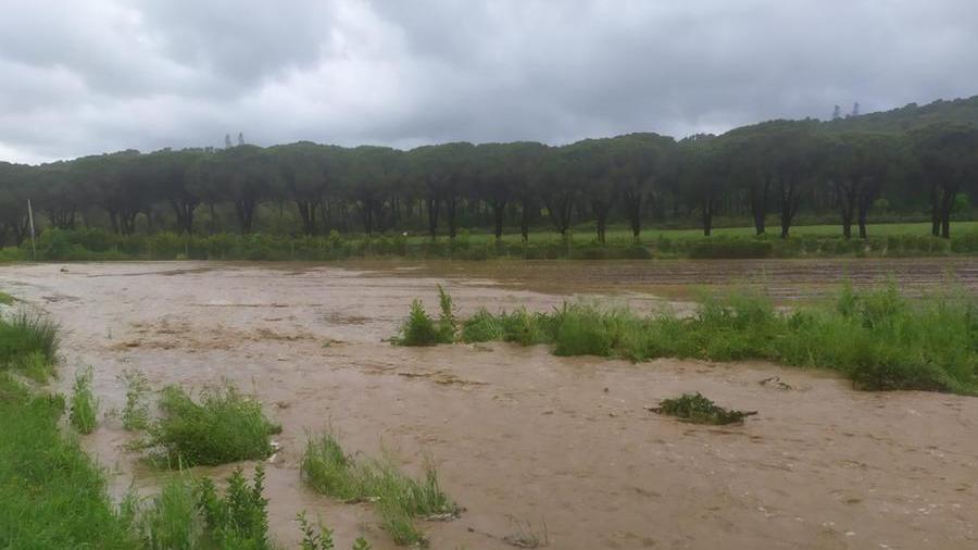 Le campagne a Vallerotana nel pomeriggio di mercoledì 10 maggio