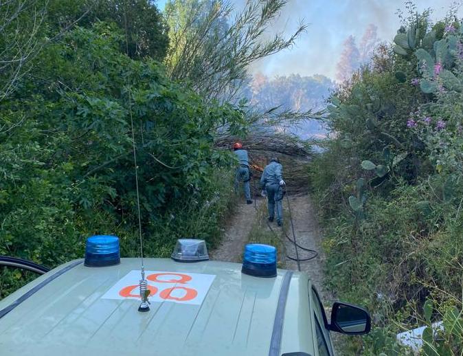 Incendio a Siniscola: una scuola evacuata per precauzione