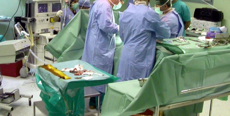 Morì di aneurisma a Sassari, i consulenti: «Fu operato troppo tardi»