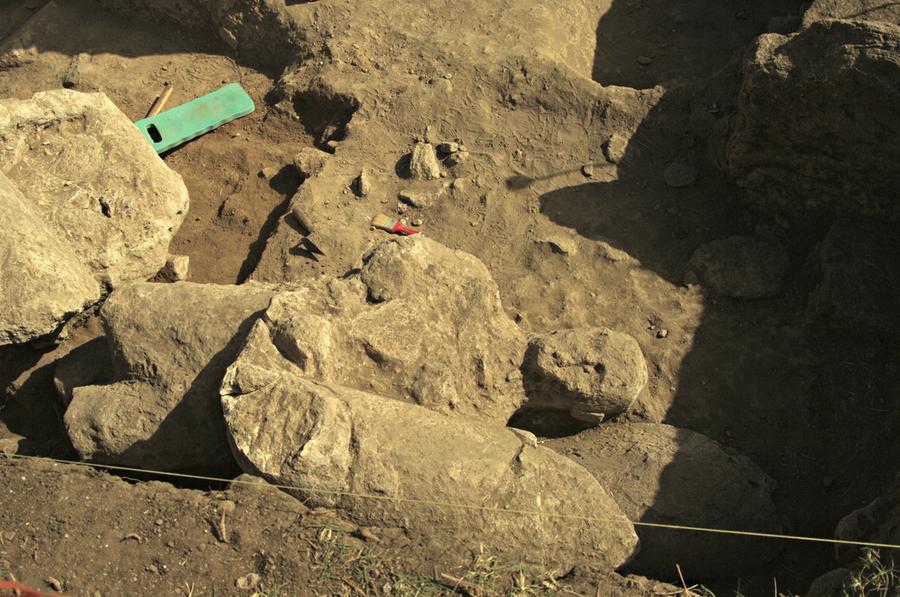  CABRAS  MONT' E  PRAMA  l'ultima statua ritrovata.