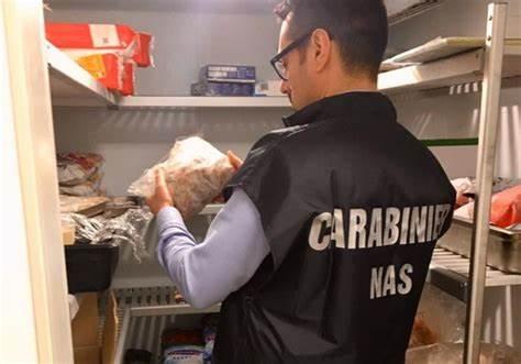 Lumache e blatte tra gli alimenti, attività sospesa e sequestro di 700 chili di prodotti