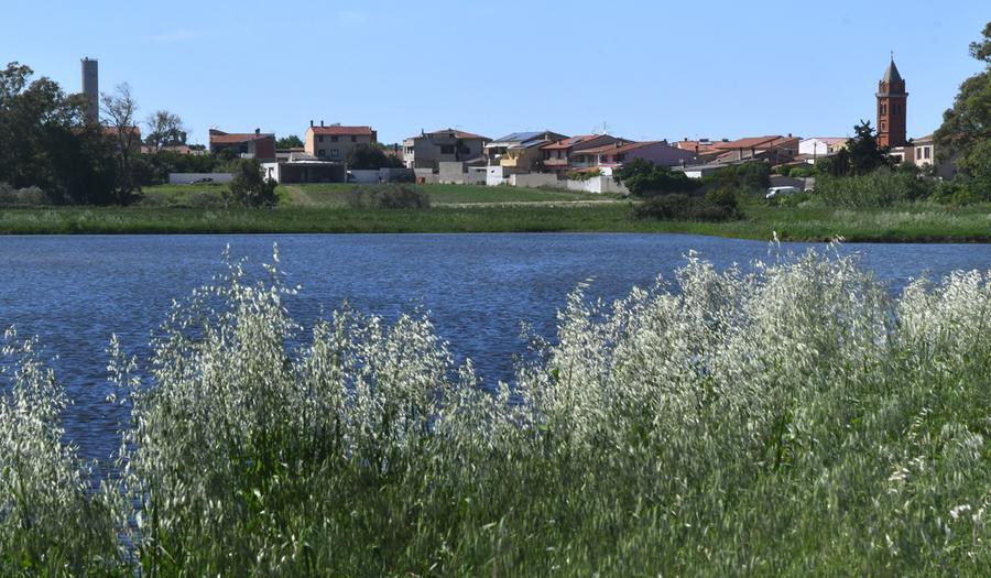 
	Risaie allagate nell'oristanese

