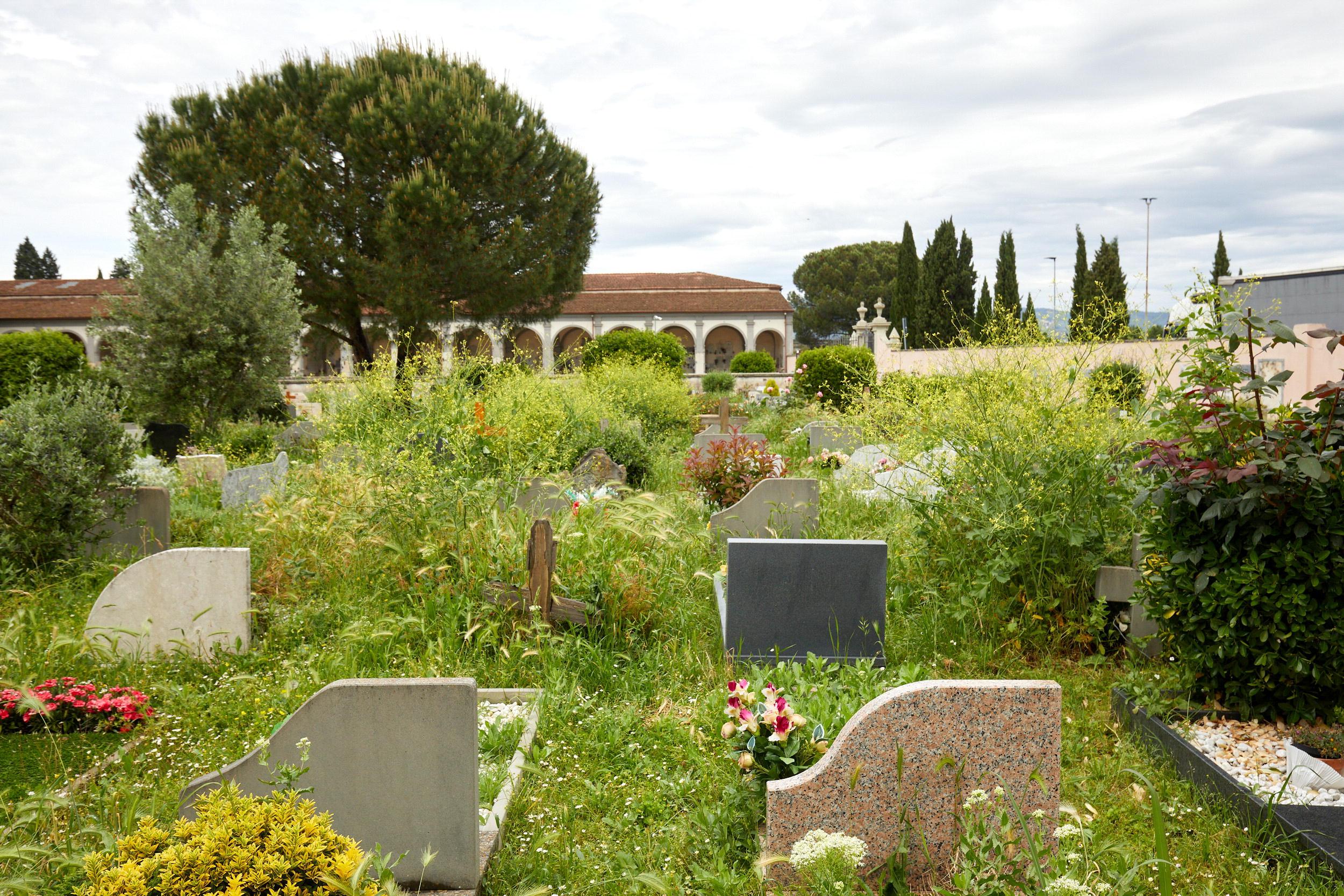 Una veduta del cimitero dei Cappuccini in via Val D’Orme con le erbacce che sovrastano le lapidi e le tombe