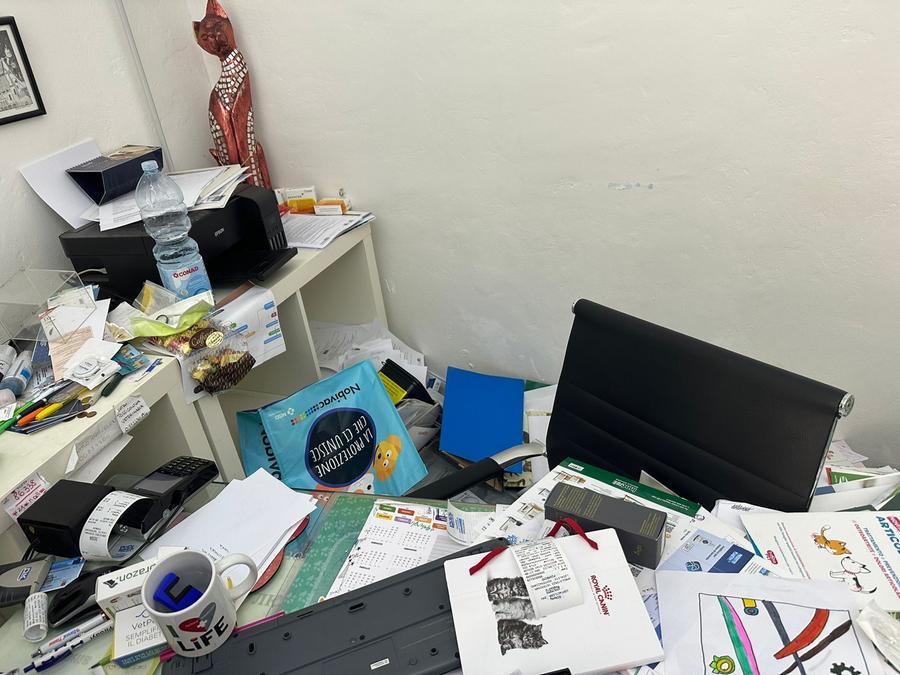 Piombino, porta in vetro sfondata e un pc rubato: ladri-vandali nello studio veterinario