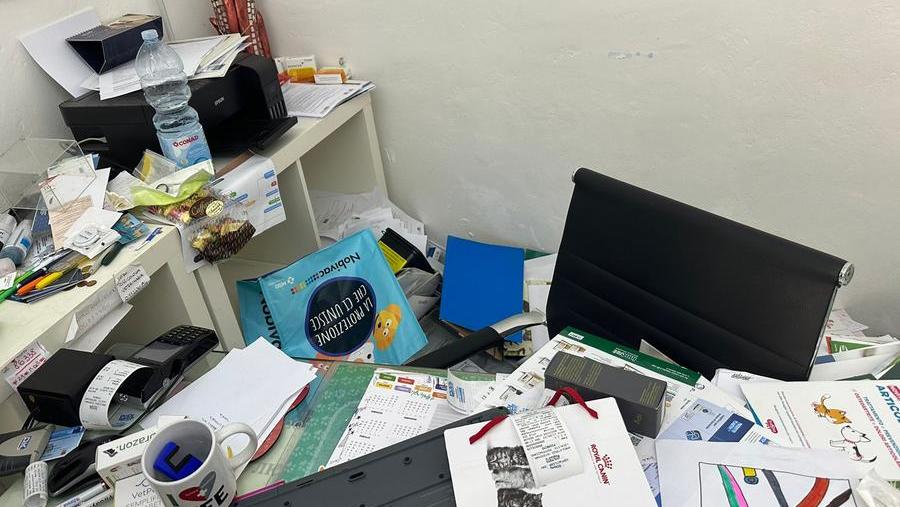 Piombino, porta in vetro sfondata e un pc rubato: ladri-vandali nello studio veterinario
