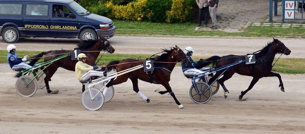 Norris Grif da battere nel Premio Ghirlandina 