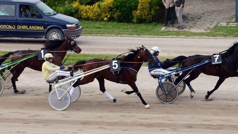 Norris Grif da battere nel Premio Ghirlandina