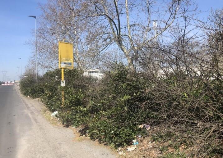 Empoli, slalom tra la “giungla” e i rifiuti per raggiungere la fermata del bus