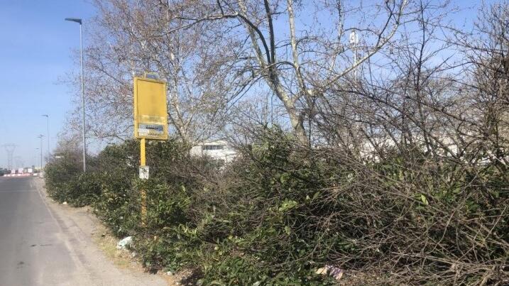 Empoli, slalom tra la “giungla” e i rifiuti per raggiungere la fermata del bus