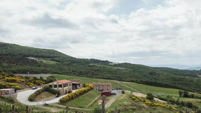 Duemani, l’azienda di D’Attoma venduta alla veneta “Tenute del Leone alato”