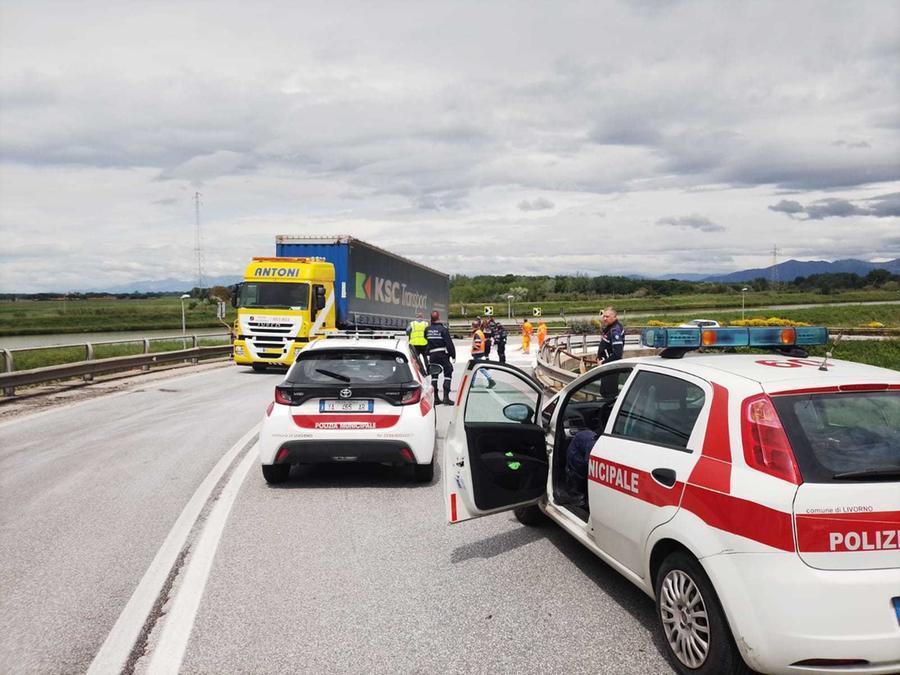 
	La polizia municipale sul posto (foto Daniele Stefanini/Agenzia Silvi)

