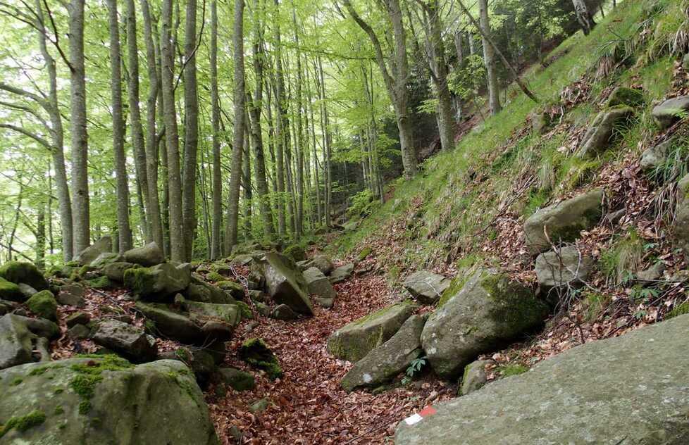 Orrido di Botri, protesta contro la strada: «Devasterà la riserva»