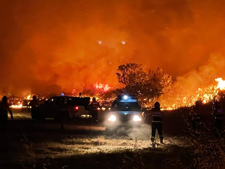 Incendi, ridotte le forze in campo: ci saranno 2mila uomini in meno
