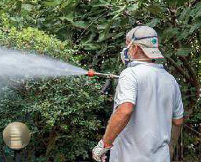 Un intervento al mese da maggio a settembre