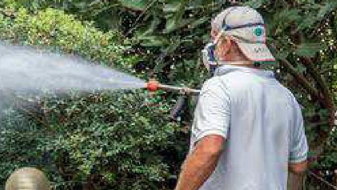 Un intervento al mese da maggio a settembre