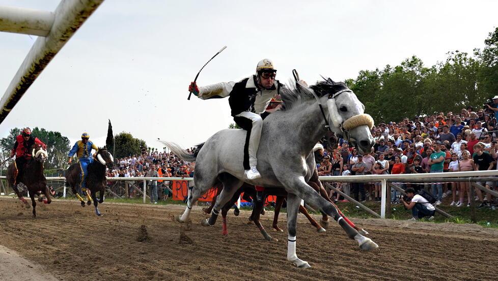 I cavalli lanciati dai fantini a caccia del cencio, il drappo più ambito di Fucecchio