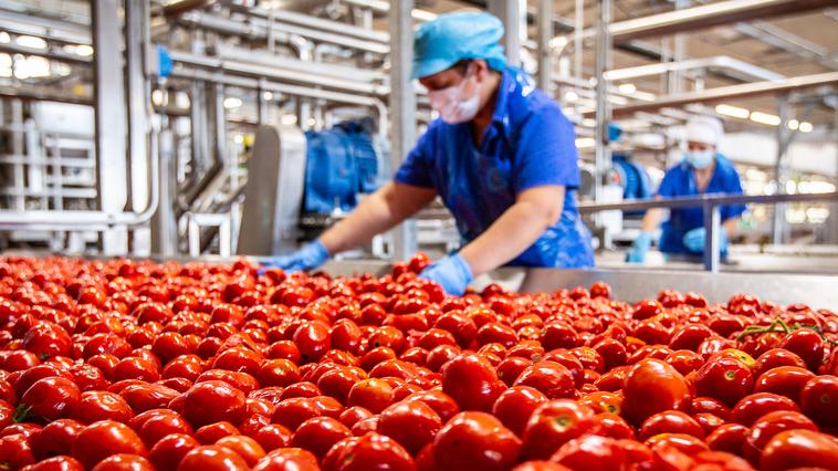 Conserve Italia cerca 250 stagionali: in azienda la formazione gratuita