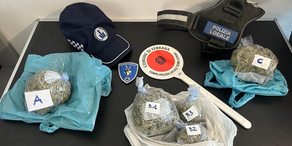 I cani fiutano coca, eroina e hashish Polizia trova quattro etti di droga