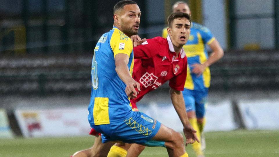 Carrarese, con 4-5 innesti possibile una grande annata