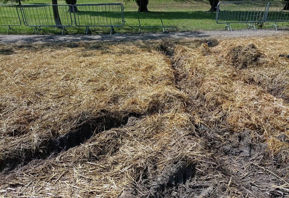 Ferrara, il Parco Bassani è diventato “marrone”: cantiere aperto almeno fino a domani