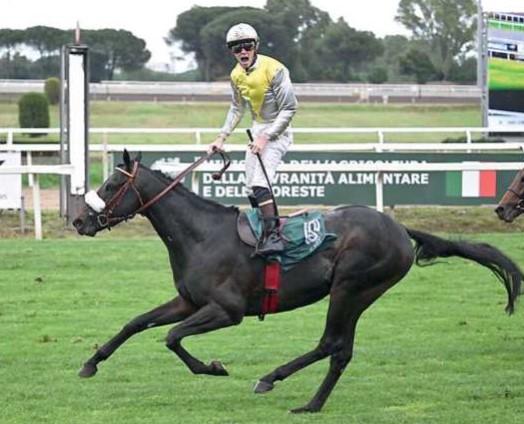 
	Il trionfo di Di Tocco a Roma in sella a Goldenas (foto Domenico Savio)

