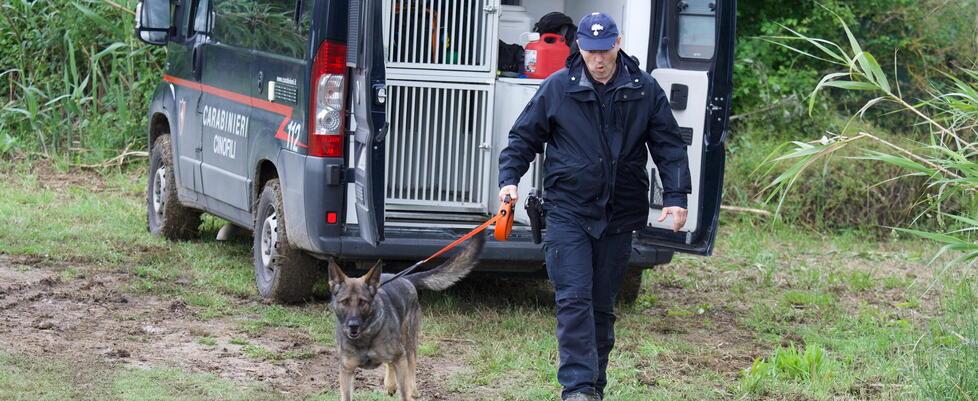 Un momento delle ricerche di venerdì, attuate anche con l’ausilio di unità cinofile (foto Agenzia BF)